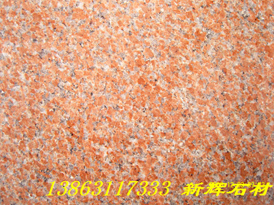石岛红老8号光面